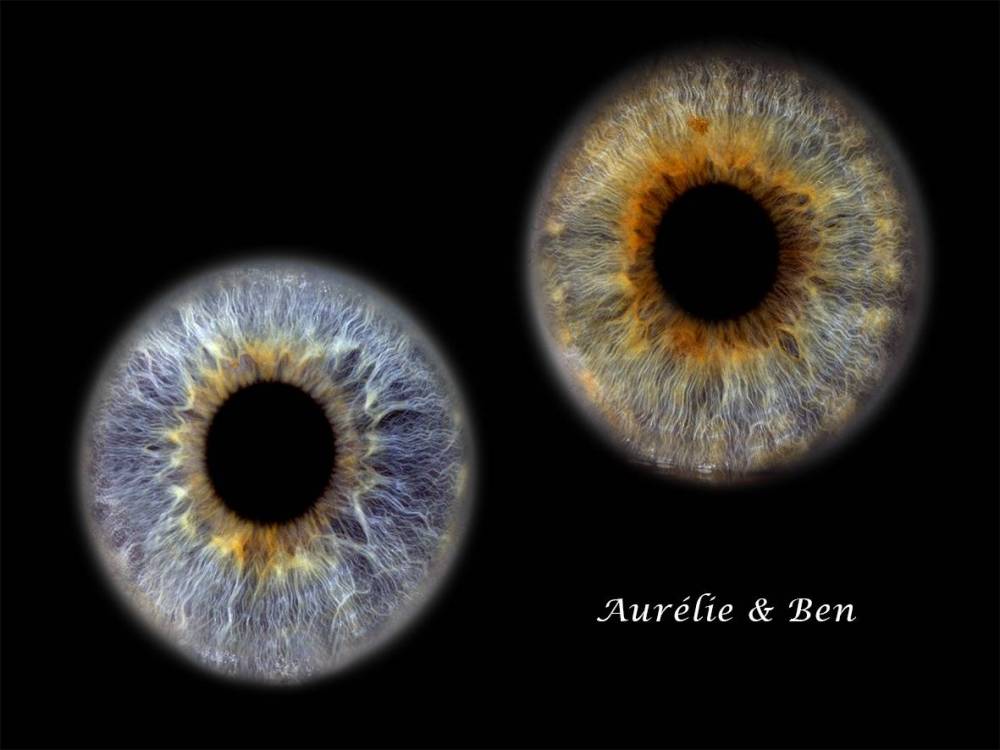 Photographie